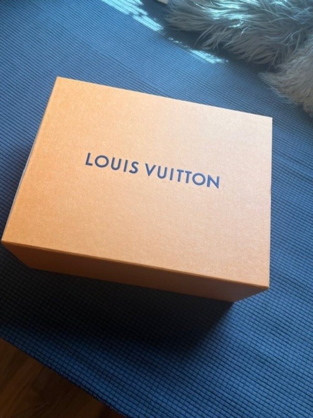 Strappy Tie Louis Vuitton Sandals - Picture 6 of 9